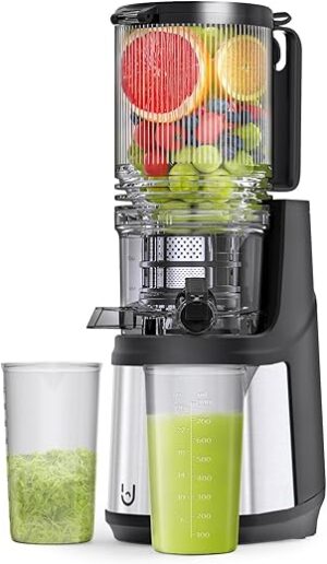 Emijok 350W Slow Cold Press Masticating Juicer