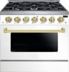 FORTÉ 36 Inch Natural Gas, 6 Burners