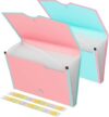EOOUT Accordion File Organizer, 13 Pockets, A4 Size