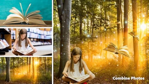 Adobe Photoshop & Premiere Elements 2025 Student Edition - Image 5