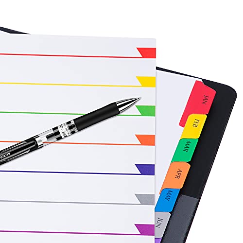 Amazon Basics 12 Tab Monthly Dividers, Multicolor, 10-Pack - Image 3