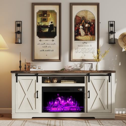 AMERLIFE Fireplace TV Stand With Barn Door - Image 3