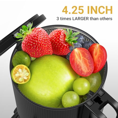 amzchef Cold Press Juicer With Large Chute - Image 2