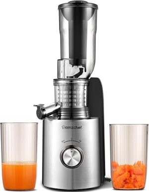 amzchef AMZCHEF Compact Slow Juicer, Wide Chute