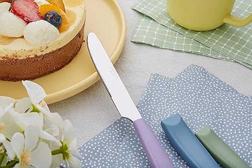 Annova Flatware Set With Colored Handles - Image 5