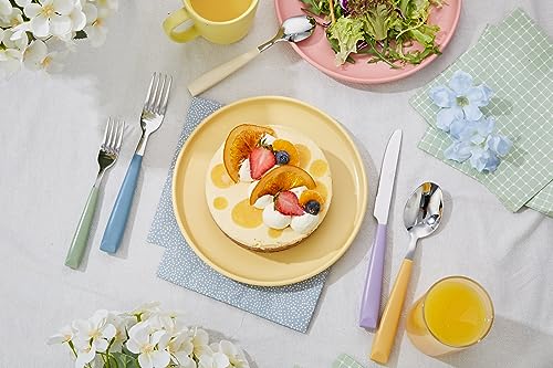 Annova Flatware Set With Colored Handles - Image 2