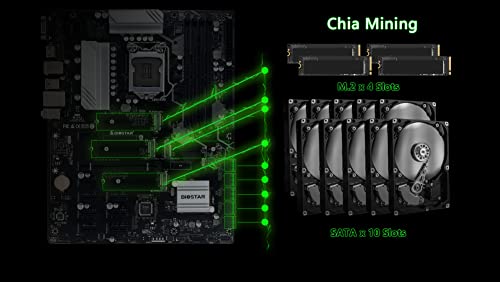 Biostar TZ590-BTC Duo Intel Z590 Mining Motherboard - Image 5