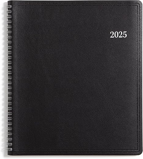 Blue Sky Blue Sky 2025 Monthly Planner, 8β x 10β