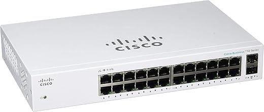Cisco Business 24-Port GE Unmanaged Switch (CBS110-24T-NA)