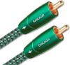 AudioQuest Chicago RCA Analog Audio Interconnect Cable