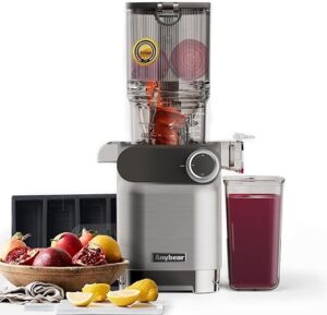 anybear Cold Press Juicer, 200W Masticating Juicer