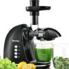 BRECIOUS Cold Press Juicer With Reverse Function