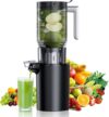 assountgh Cold Press Masticating Juicer With Chute