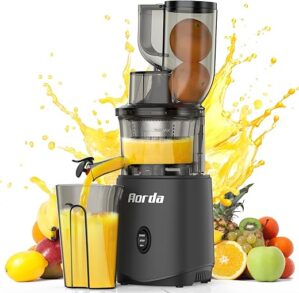 Aorda Cold Press Slow Masticating Juicer, Grey