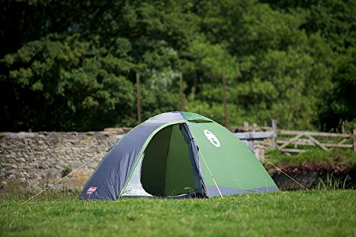 Coleman Darwin 3 Dome Tent Grey/Green - Image 3