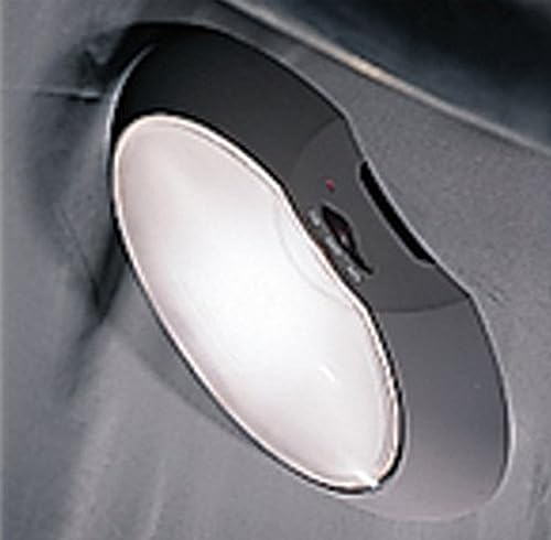 Coleman Tent Light - Image 4
