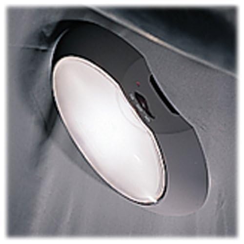 Coleman Tent Light - Image 2