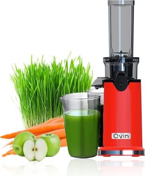 Qvin Compact Cold Press Juicer Machine