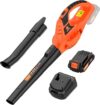 Leisch Life Cordless 21V Handheld Electric Leaf Blower