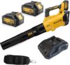 RUALION Cordless Electric Leaf Blower 580 CFM