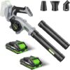 PATODOR Cordless Electric Leaf Blower With Batteries