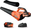 PULITUO Cordless Leaf Blower 20V With Battery