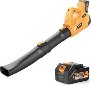biuonga Cordless Leaf Blower With Battery