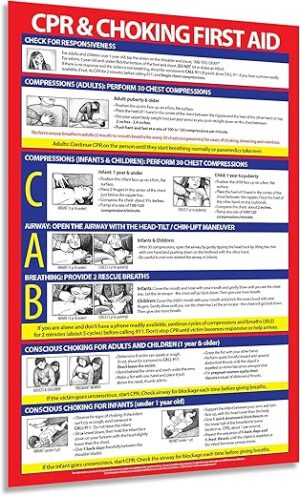 Safety Magnets CPR And Choking Poster – Laminated