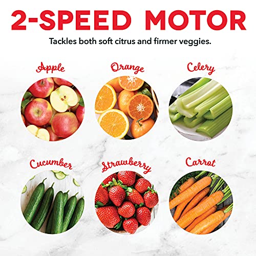 DASH Compact Centrifugal Juicer, 2-Speed, Cool Grey - Image 4