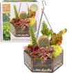Deco 79 Deco Glass Geometric DIY Terrarium