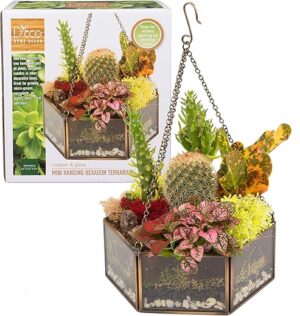 Deco 79 Deco Glass Geometric DIY Terrarium