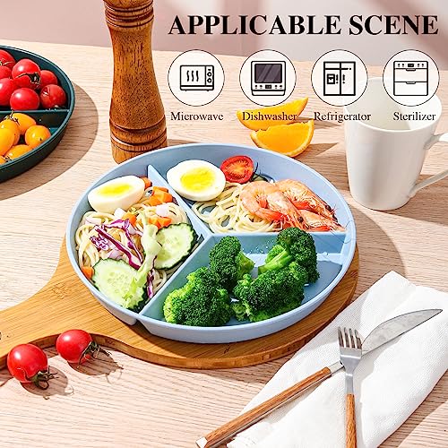 DYB DONGYONGBAO Portion Control Plate, 9.6 Inch, 5 Piece - Image 3