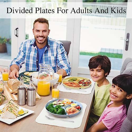 DYB DONGYONGBAO Portion Control Plate, 9.6 Inch, 5 Piece - Image 4