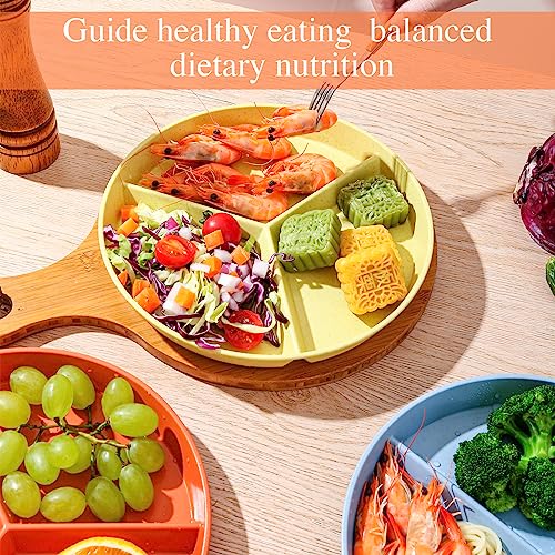 DYB DONGYONGBAO Portion Control Plate, 9.6 Inch, 5 Piece - Image 5