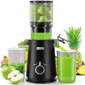 ECOSELF ECOSELF Cold Press Juicer With Large Chute