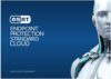 ESET Endpoint Protection Standard Cloud 1 Year