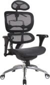 BALAMI Ergonomic Lumbar Support Office Chair