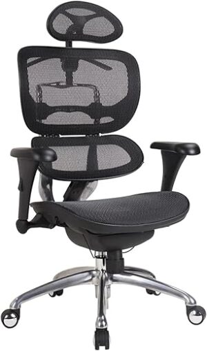 BALAMI Ergonomic Lumbar Support Office Chair