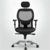 KARREAL Ergonomic Reclinable Office Chair With Cushion
