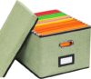 EOOUT File Organizer Box With Handles (Light Green)