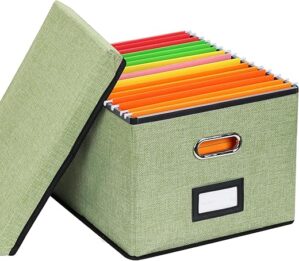 EOOUT File Organizer Box With Handles (Light Green)