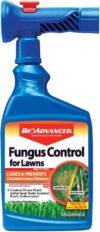 BioAdvanced Fungus Control For Lawns, 32 oz