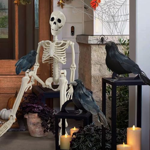 GCNBCNB Posable Human Skeleton, 36 Inch, White - Image 3