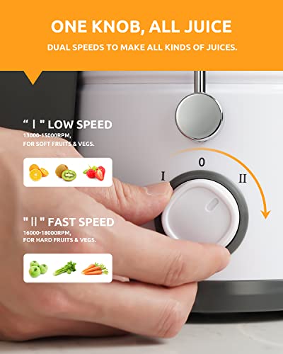 GDOR 800W Juicer Machine With 3β Chute - Image 4