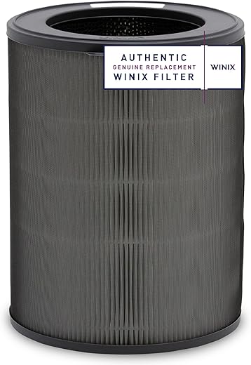 Winix Genuine Replacement Filter R for T810