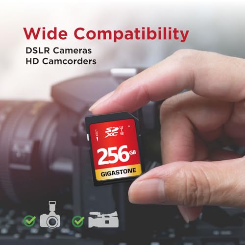 Gigastone 256GB 2-Pack SDXC Memory Card - Image 4