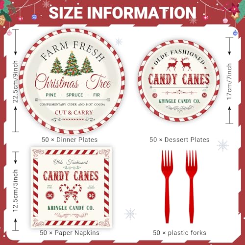 GOLDGAO Christmas Farmhouse Plates And Napkins Set - Image 2