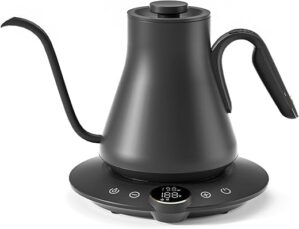 Cocinare Gooseneck Electric Kettle With Temperature Control