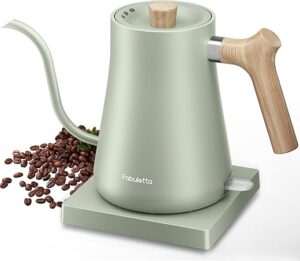 FABULETTA Gooseneck Electric Water Kettle, 1200W