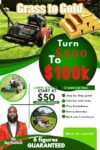 Grass To Gold: Lawn Care Success